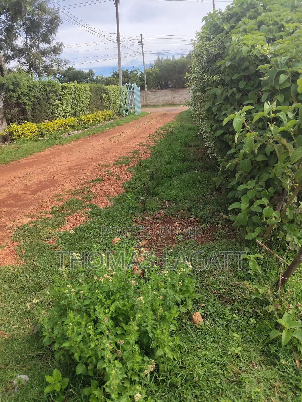 Eldoret Upper-Elgon Elgonview Blossom in Racecourse