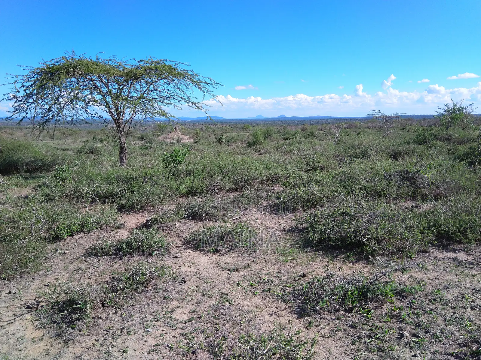Quick Sale! 1acre in Konza in Ildamat