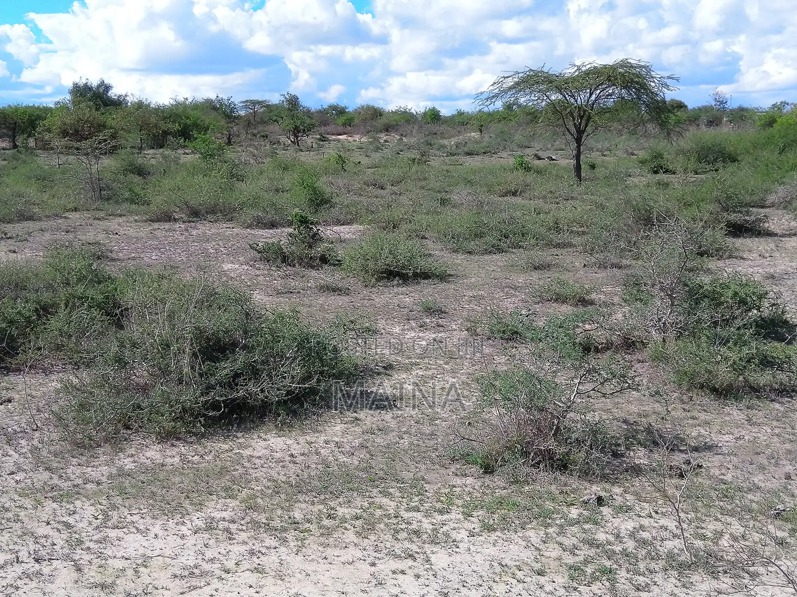 Quick Sale! 1acre in Konza in Ildamat