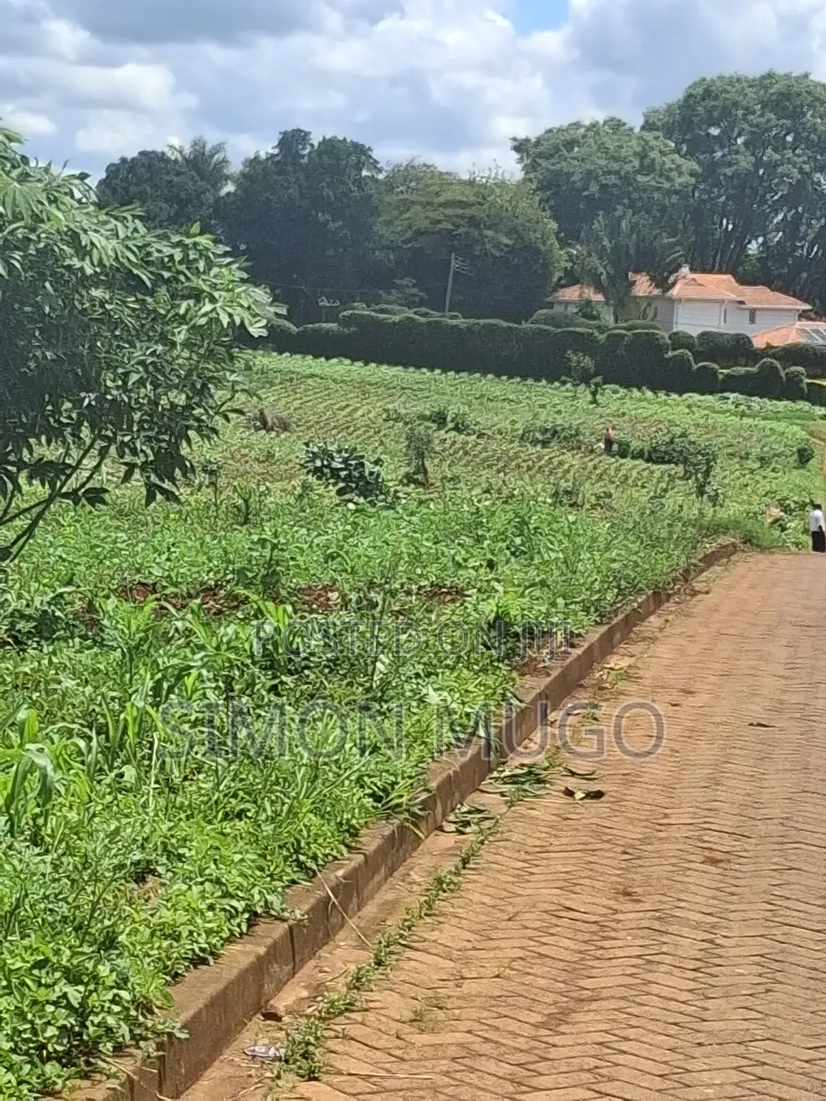 Kitsuru Very Prime Fairy Flat Red Soi 5 Acres in RedSoil Estate