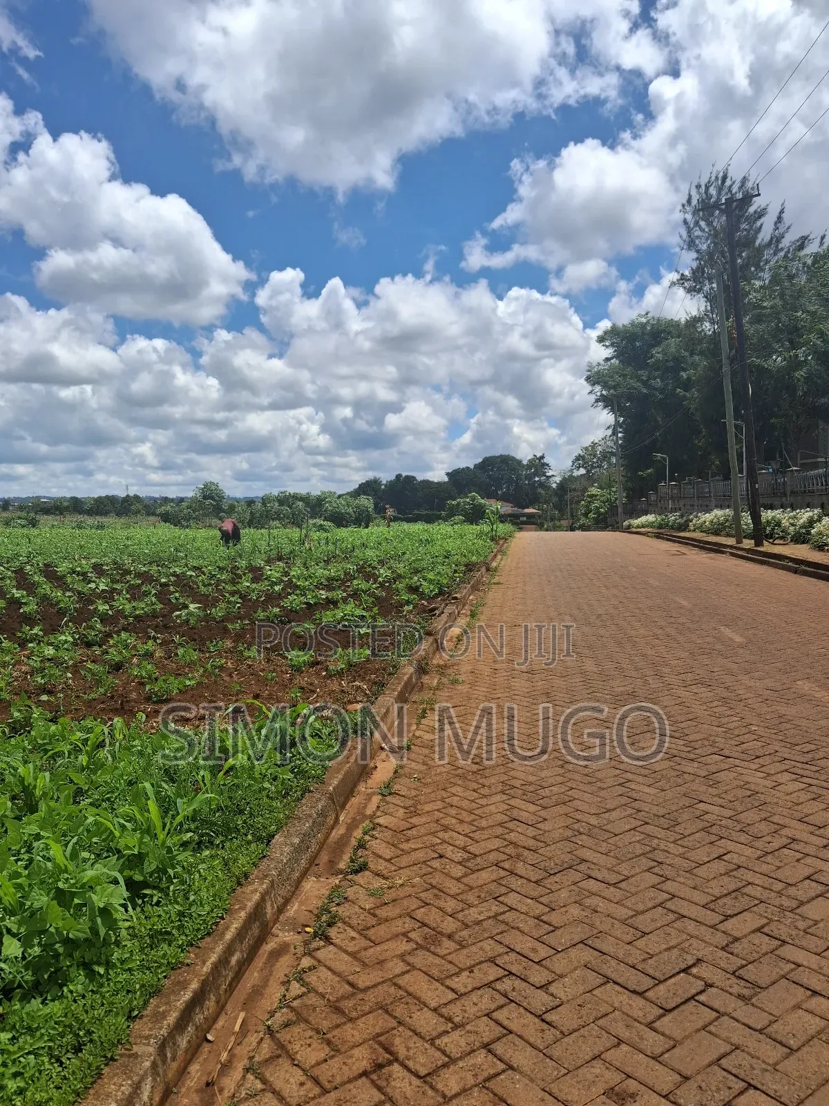 Kitsuru Very Prime Fairy Flat Red Soi 5 Acres in RedSoil Estate