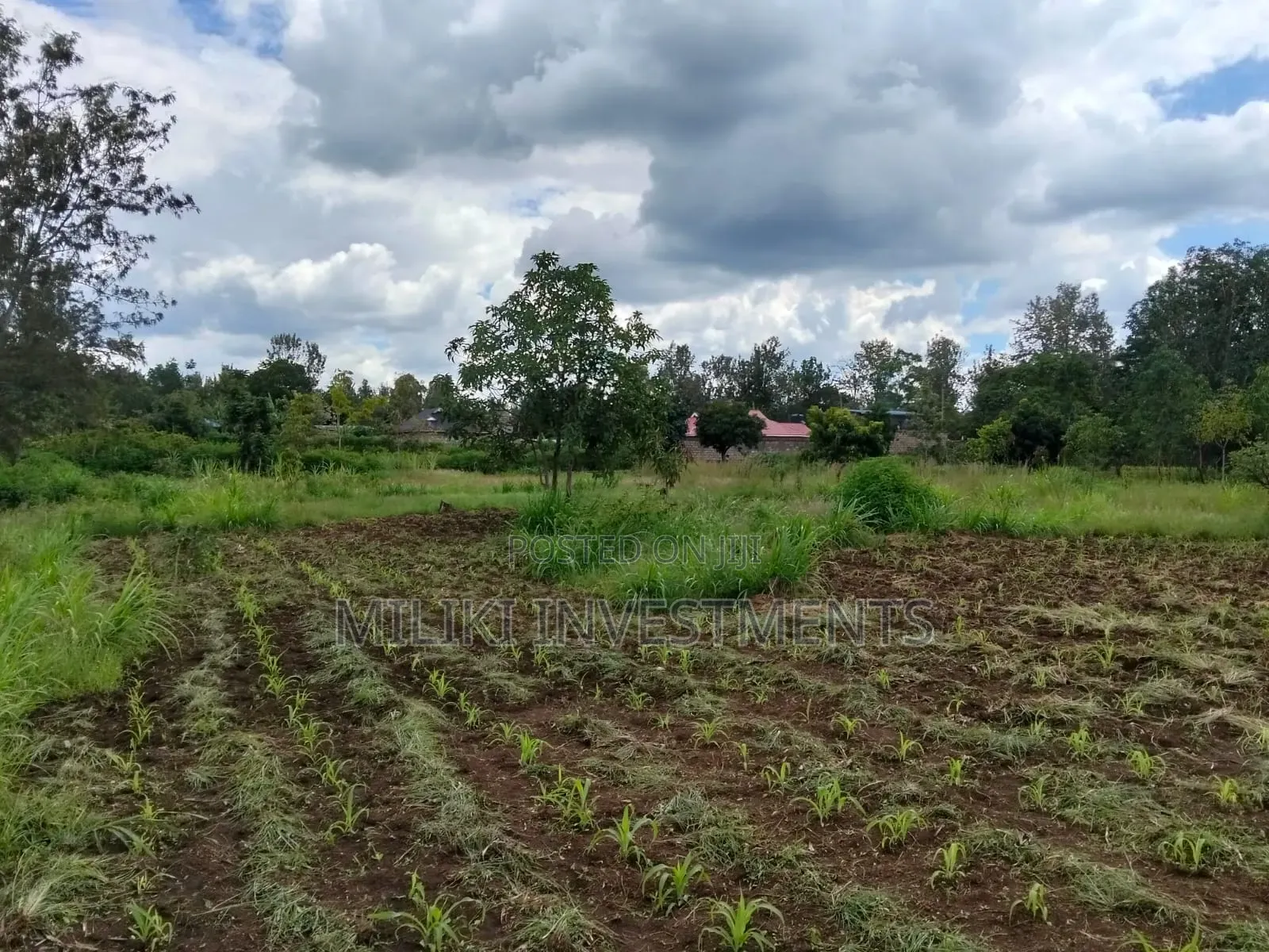 2 Acres of Land City at Makuyu -Tatu C in Makuyu