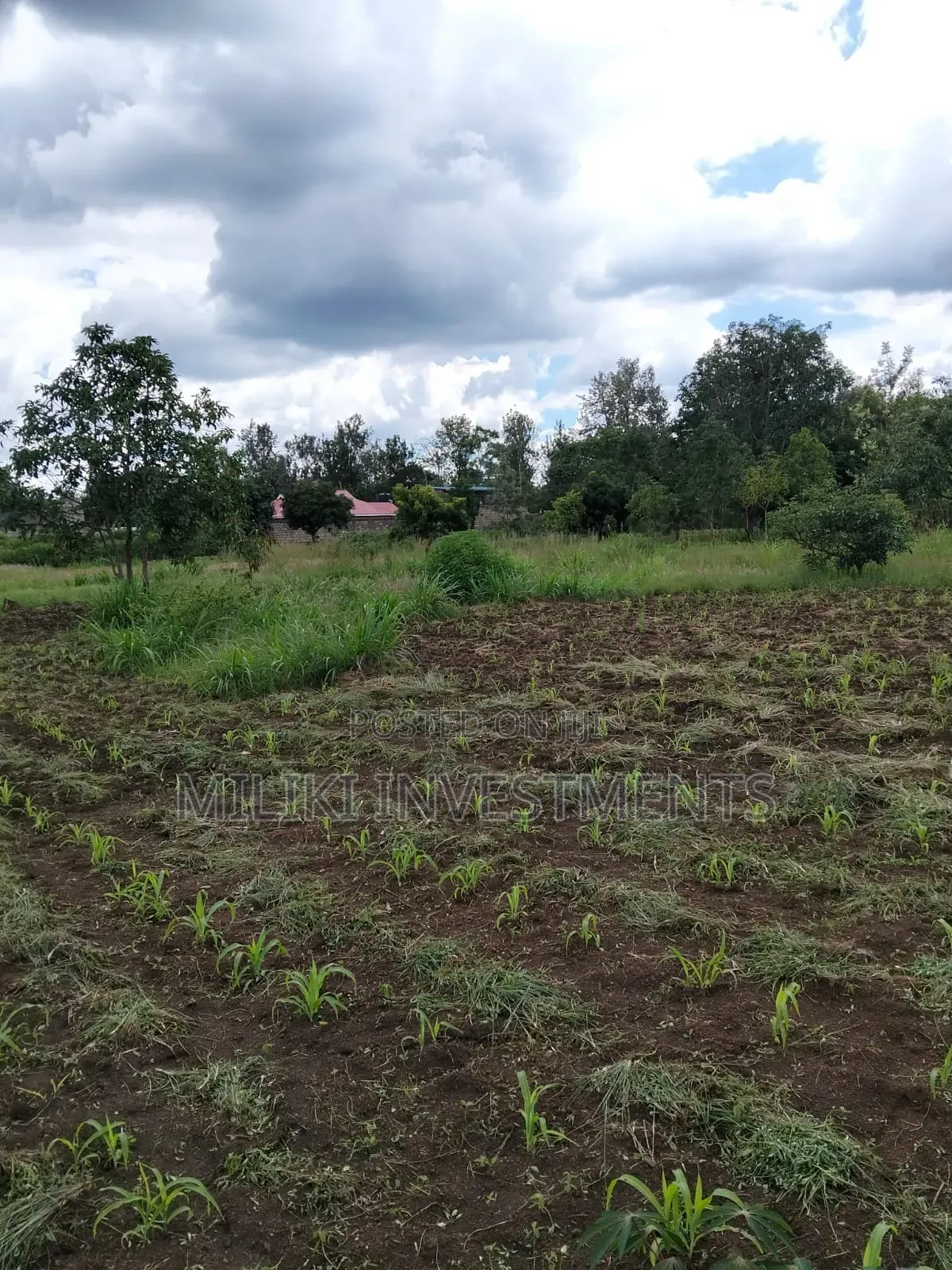 2 Acres of Land City at Makuyu -Tatu C in Makuyu