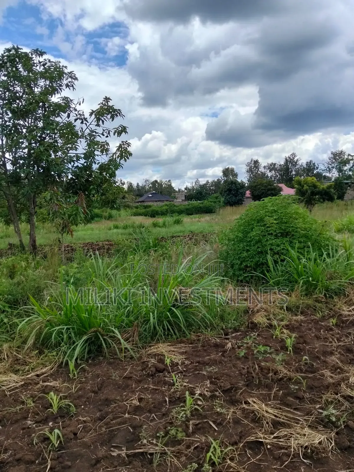 2 Acres of Land City at Makuyu -Tatu C in Makuyu