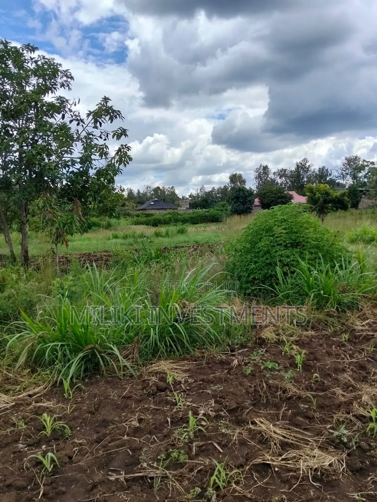 2 Acres of Land City at Makuyu -Tatu C in Makuyu