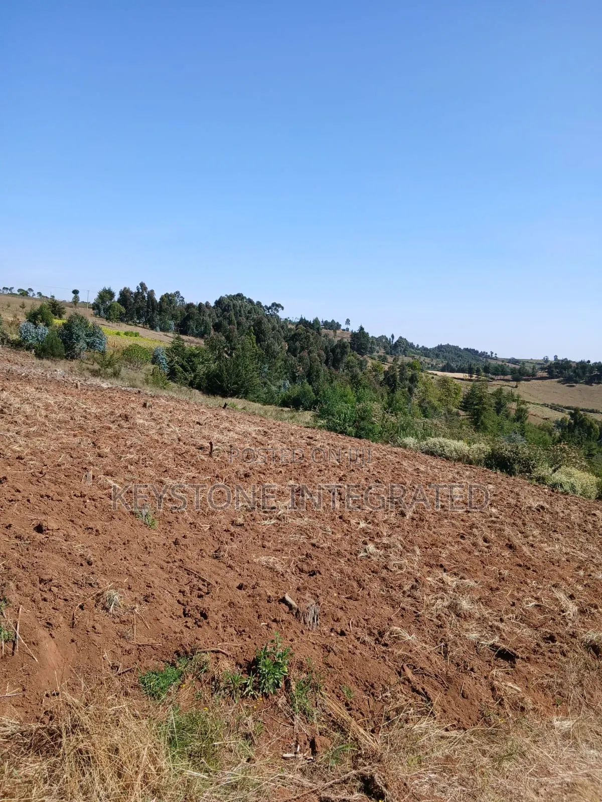 Buy Land Plots in Nyandarua, Silanga - Great Opportunity! in Rurii