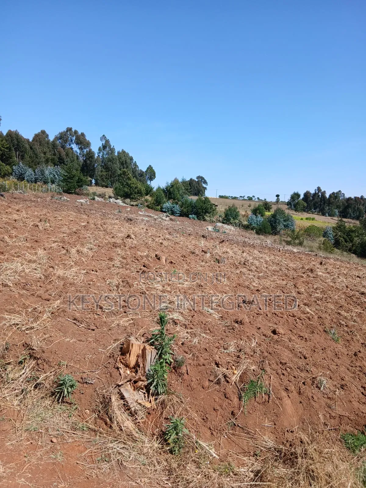 Buy Land Plots in Nyandarua, Silanga - Great Opportunity! in Rurii