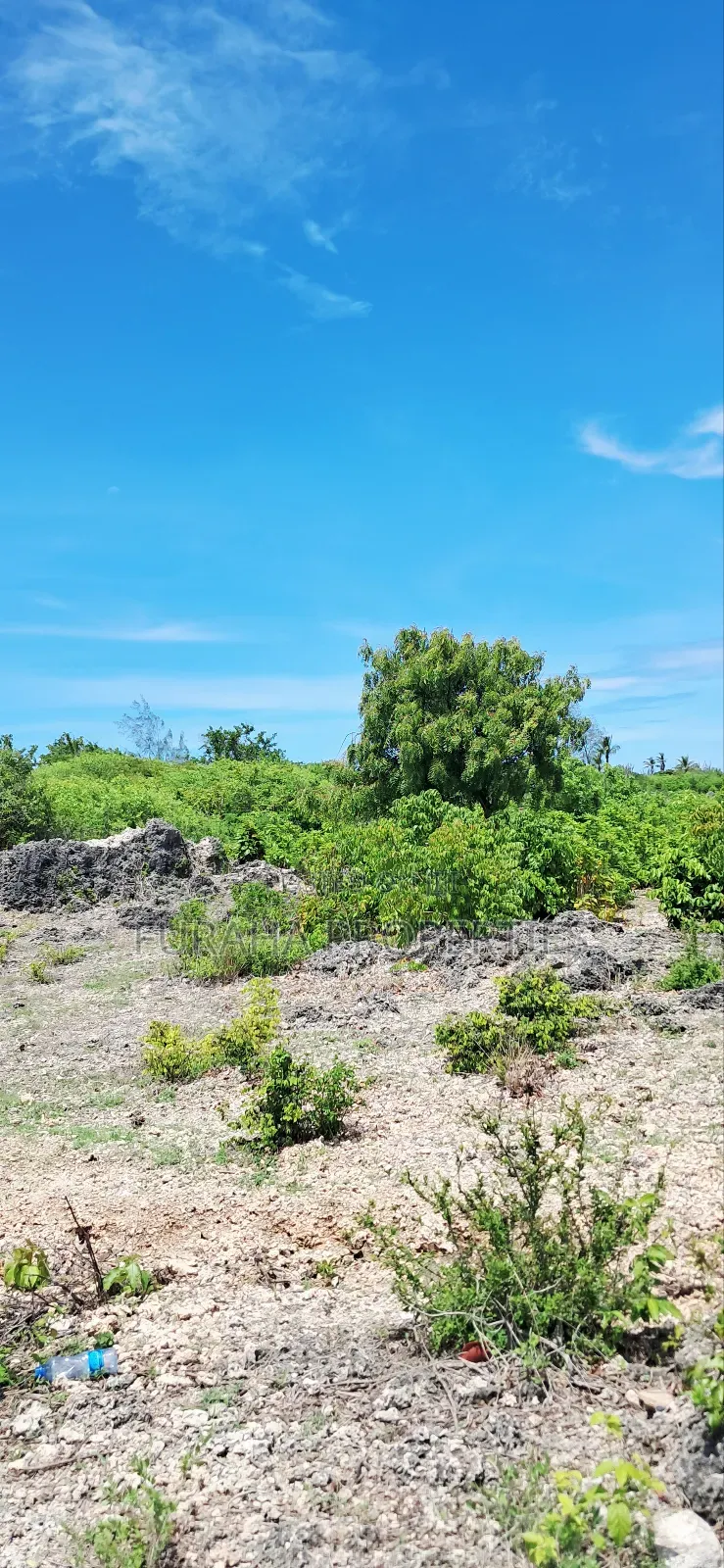 For Sale Quater Acre Plots Watamu in Watamu