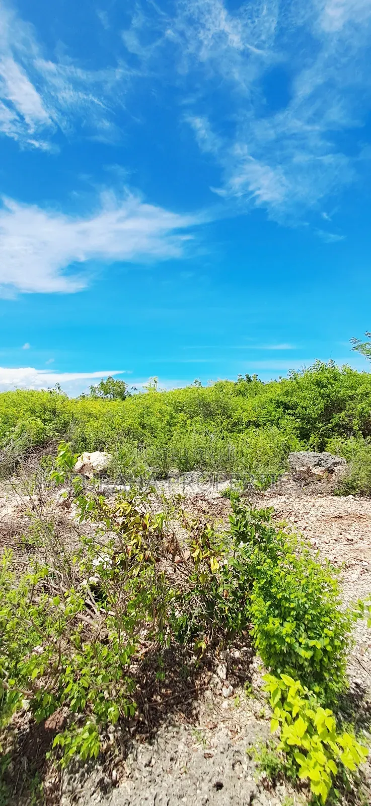 For Sale Quater Acre Plots Watamu in Watamu