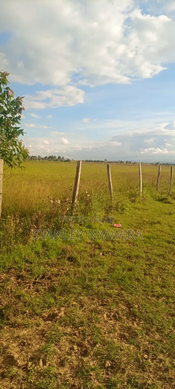 4 Acreas Narumoro Nanyuki in Nanyuki