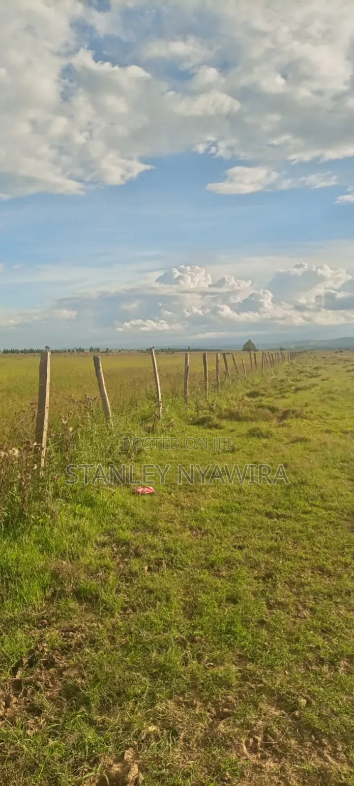 4 Acreas Narumoro Nanyuki in Nanyuki