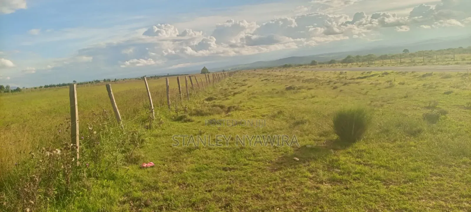 4 Acreas Narumoro Nanyuki in Nanyuki
