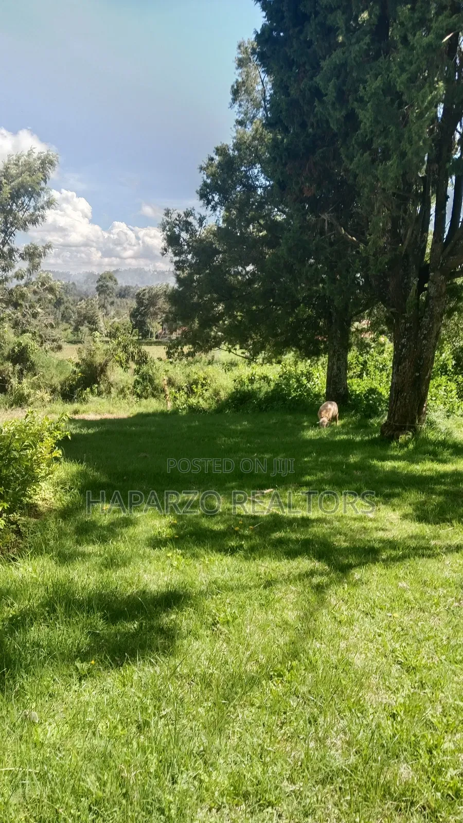 2bdrm Farm House in Lari/Kirenga for rent in Lari/Kirenga