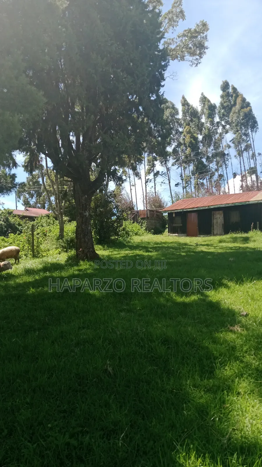 2bdrm Farm House in Lari/Kirenga for rent in Lari/Kirenga