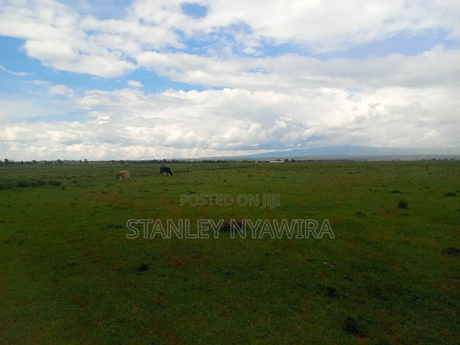 7 Acrea in Lussoi Near Narumoro via Nanyuki in Nanyuki