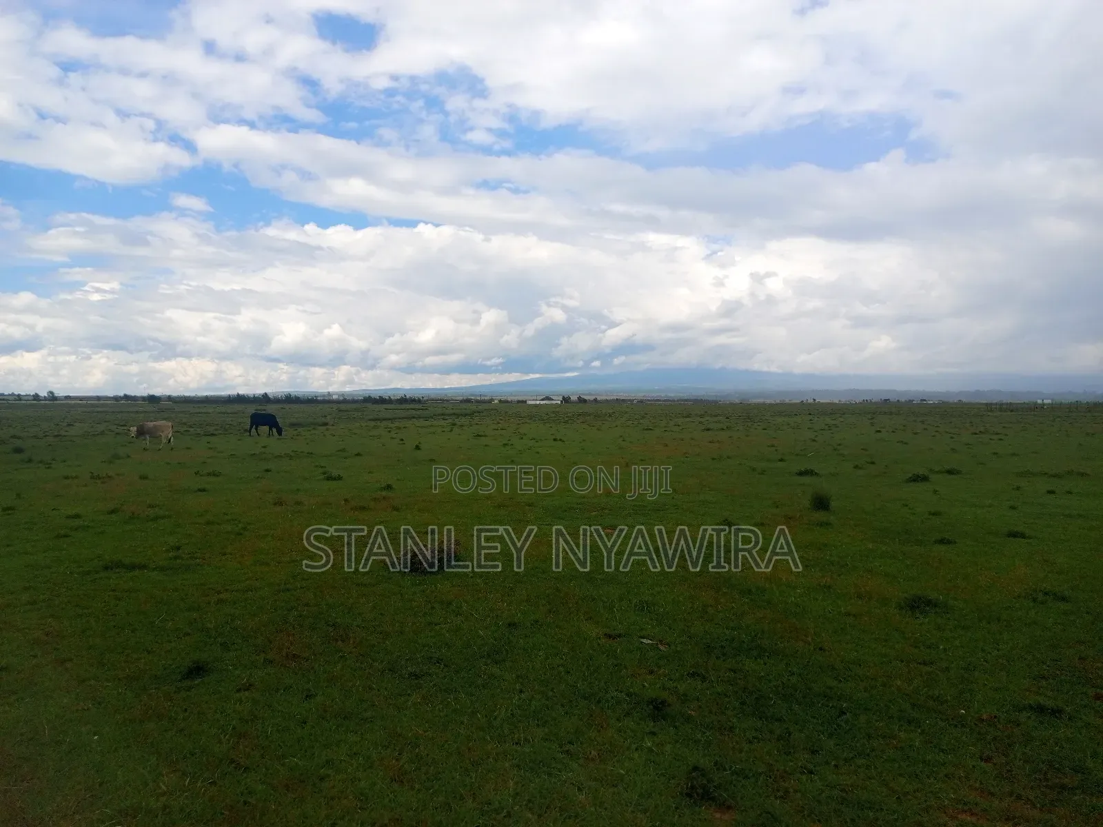7 Acrea in Lussoi Near Narumoro via Nanyuki in Nanyuki