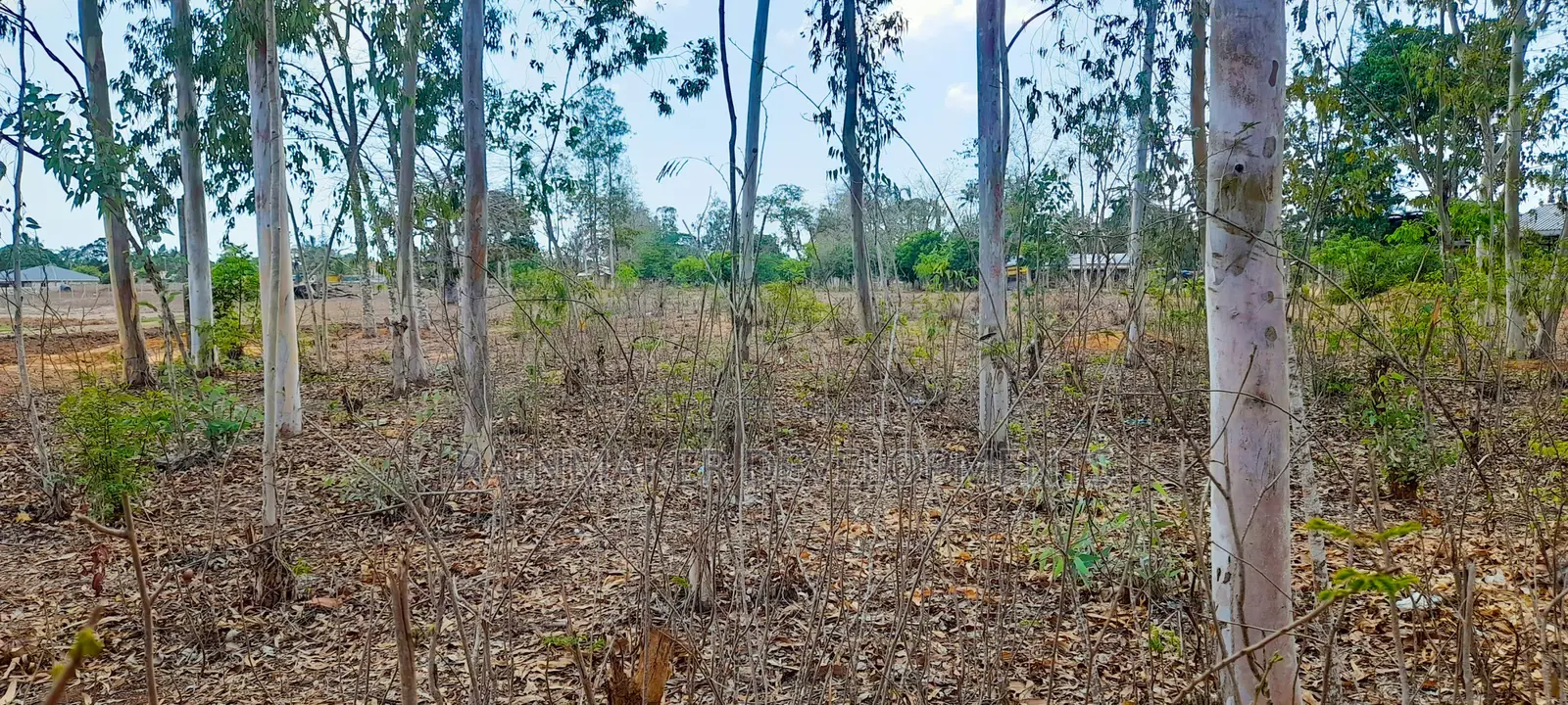 4.3 Acres Highway Frontage Plot For Sale – Mavueni in Sokoni
