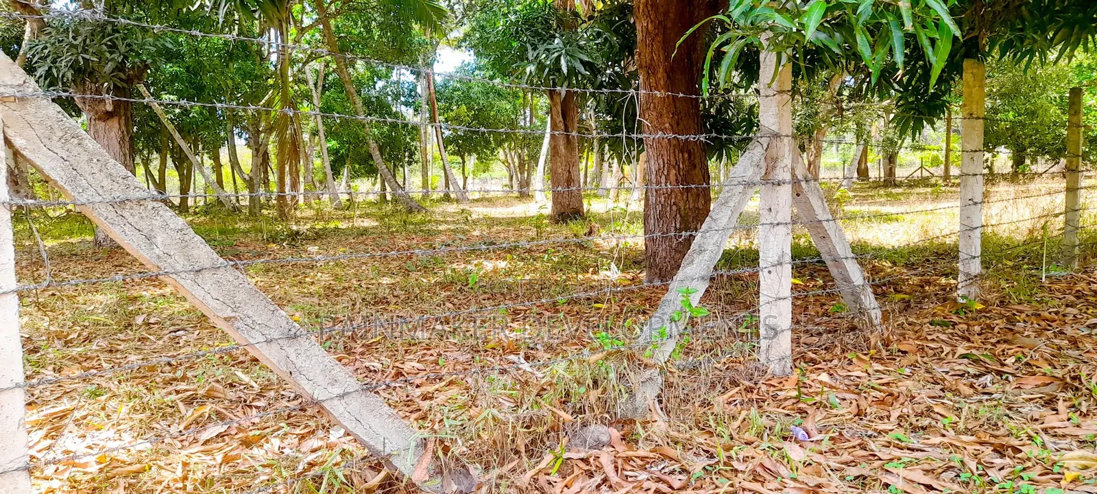 Prime 2 Acres For Sale – Mtwapa–Kikambala in Kikambala