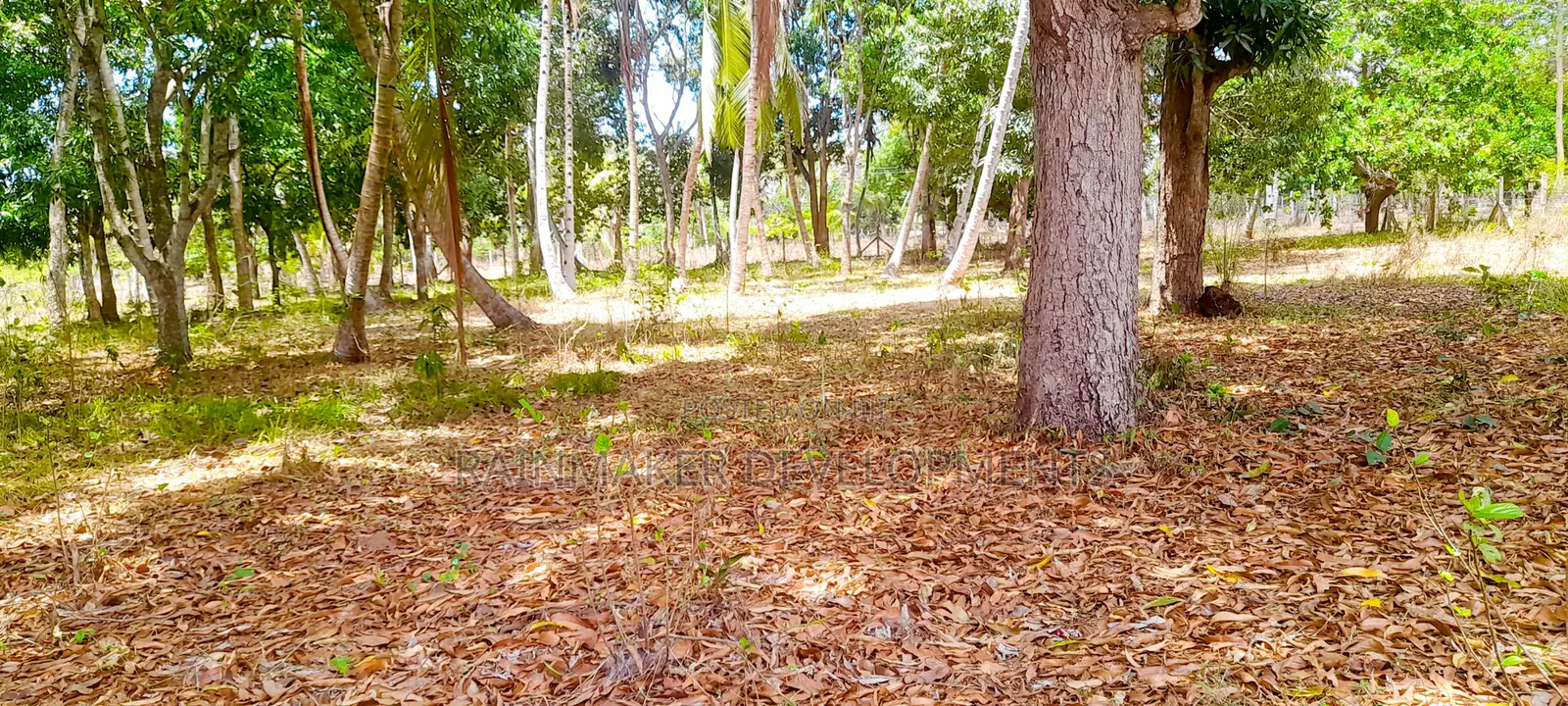 Prime 2 Acres For Sale – Mtwapa–Kikambala in Kikambala