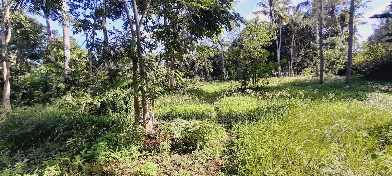 Prime 2 Acres For Sale – Mtwapa–Kikambala in Kikambala