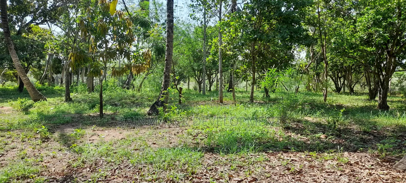 0.5 Acres For Sale In - Mtwapa Kikambala in Kikambala