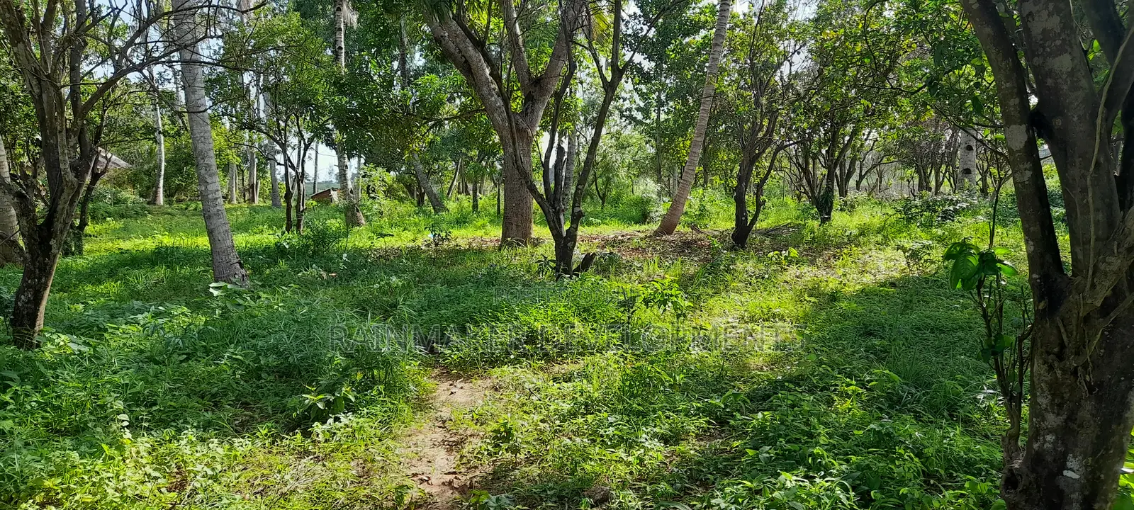 0.5 Acres For Sale In - Mtwapa Kikambala in Kikambala