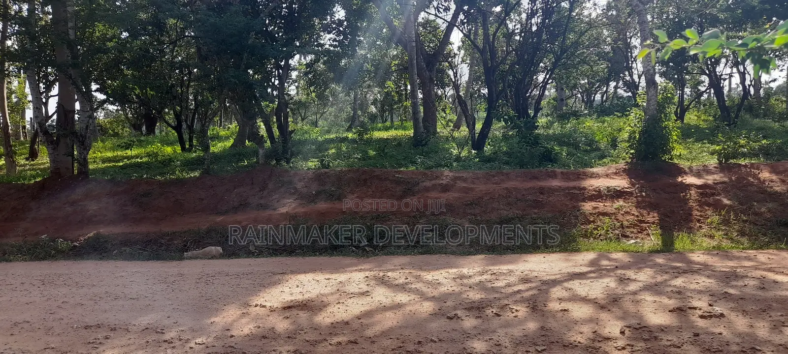 0.5 Acres For Sale In - Mtwapa Kikambala in Kikambala
