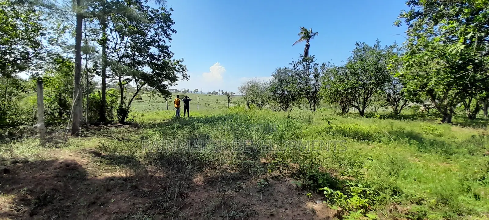 Prime 3.5 Acres For Sale – Mtwapa–Kikambala in Kikambala