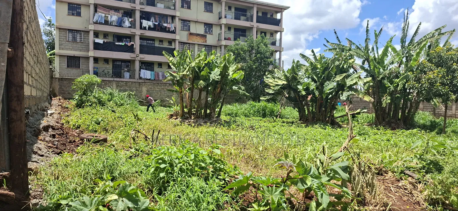 100x100 Commercial Plot Available for Sale in Gathiga in Gathiga