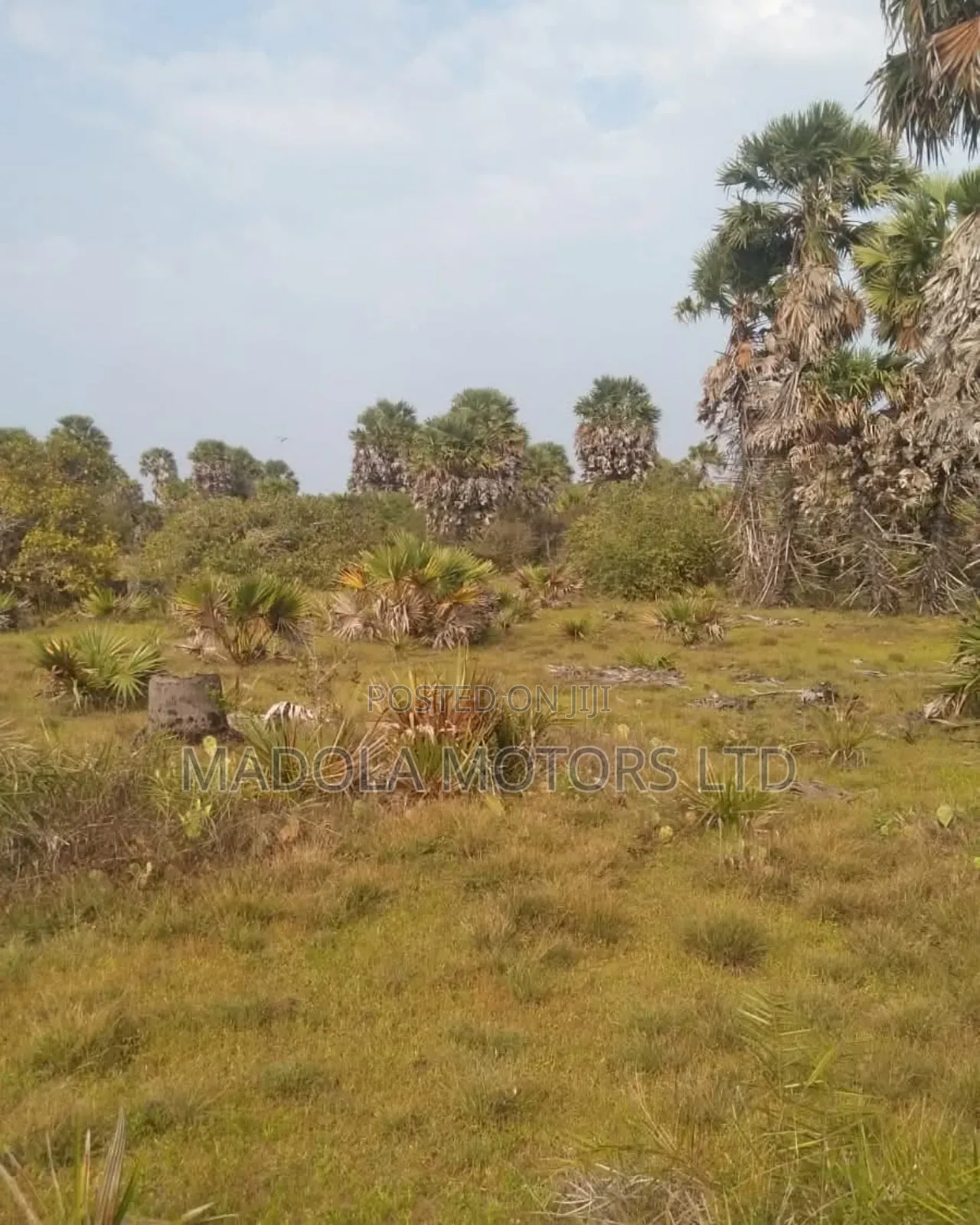 Land for Sale in Mombasa in Ganjoni