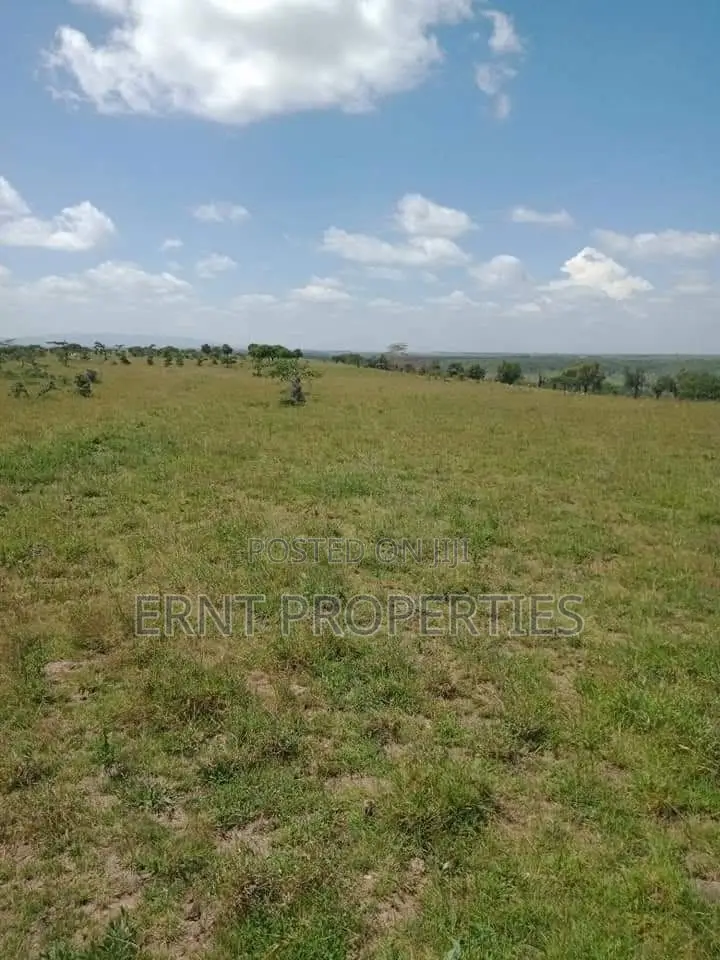 11 Plots for Sale in Acacia, Kitengela With Scenic Views in Kitengela