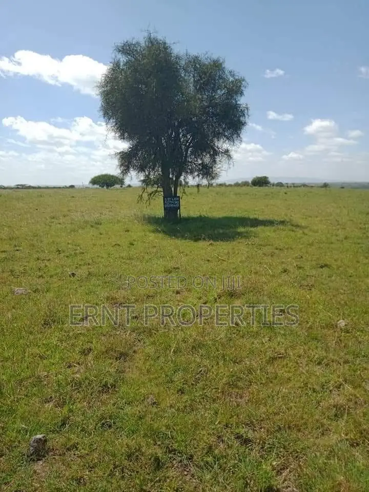 11 Plots for Sale in Acacia, Kitengela With Scenic Views in Kitengela