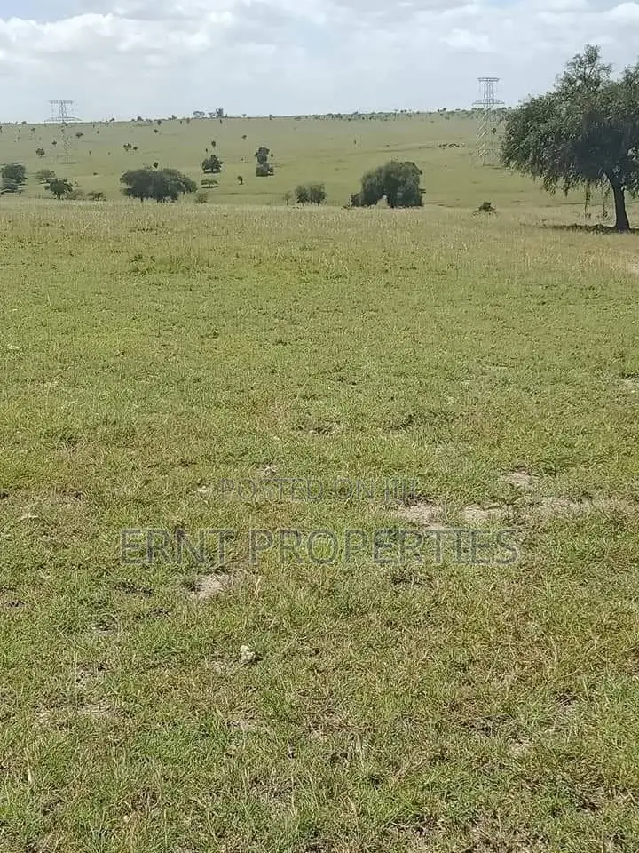 11 Plots for Sale in Acacia, Kitengela With Scenic Views in Kitengela