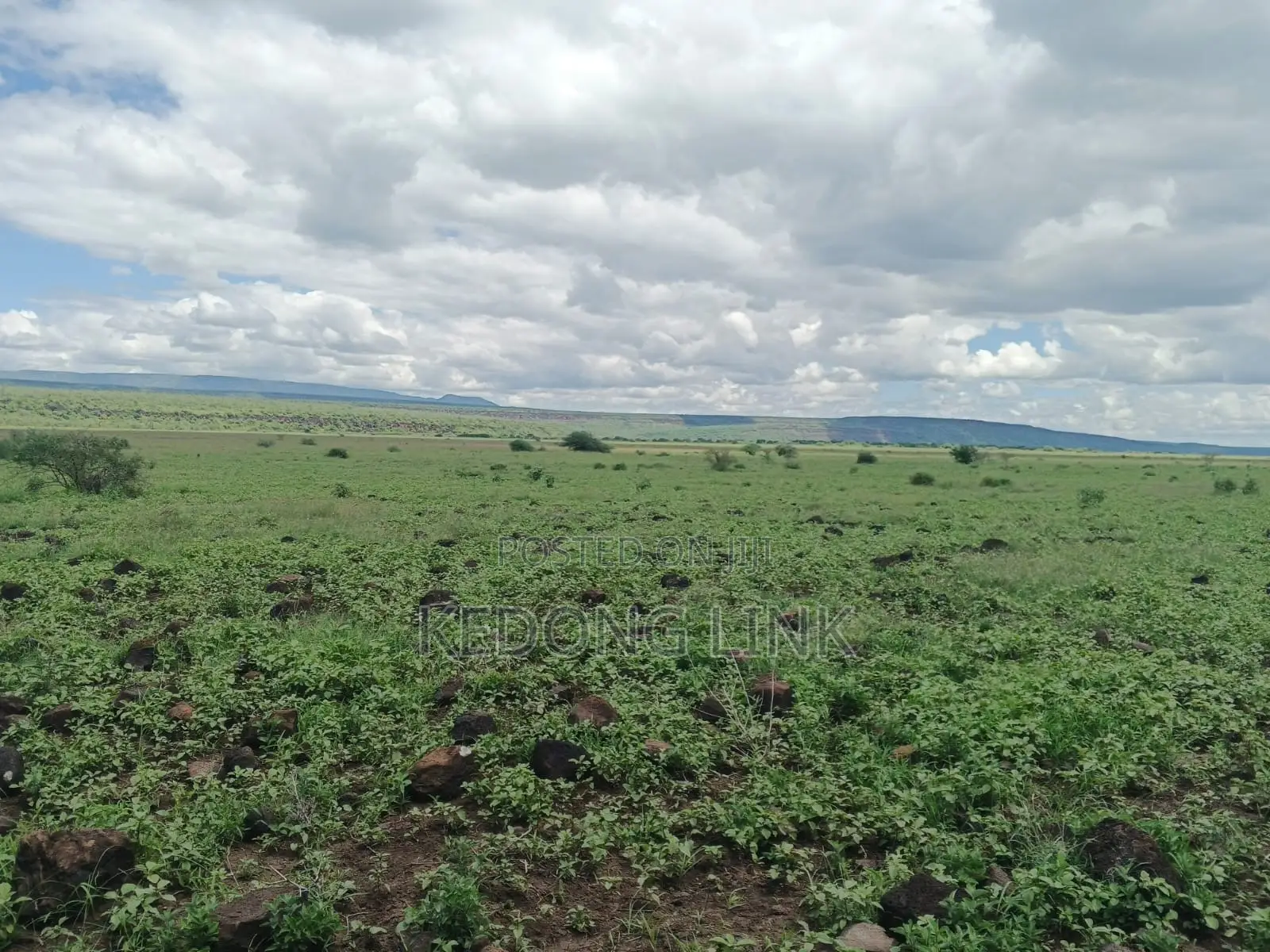 400 Acres Oromet -Tinka Prime Ranch in Magadi