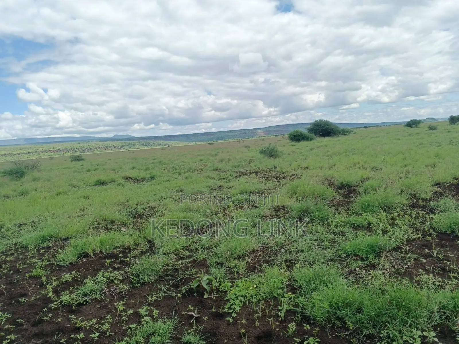 400 Acres Oromet -Tinka Prime Ranch in Magadi