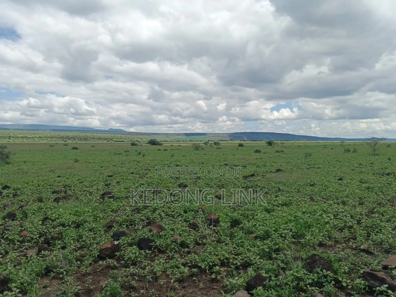 400 Acres Oromet -Tinka Prime Ranch in Magadi