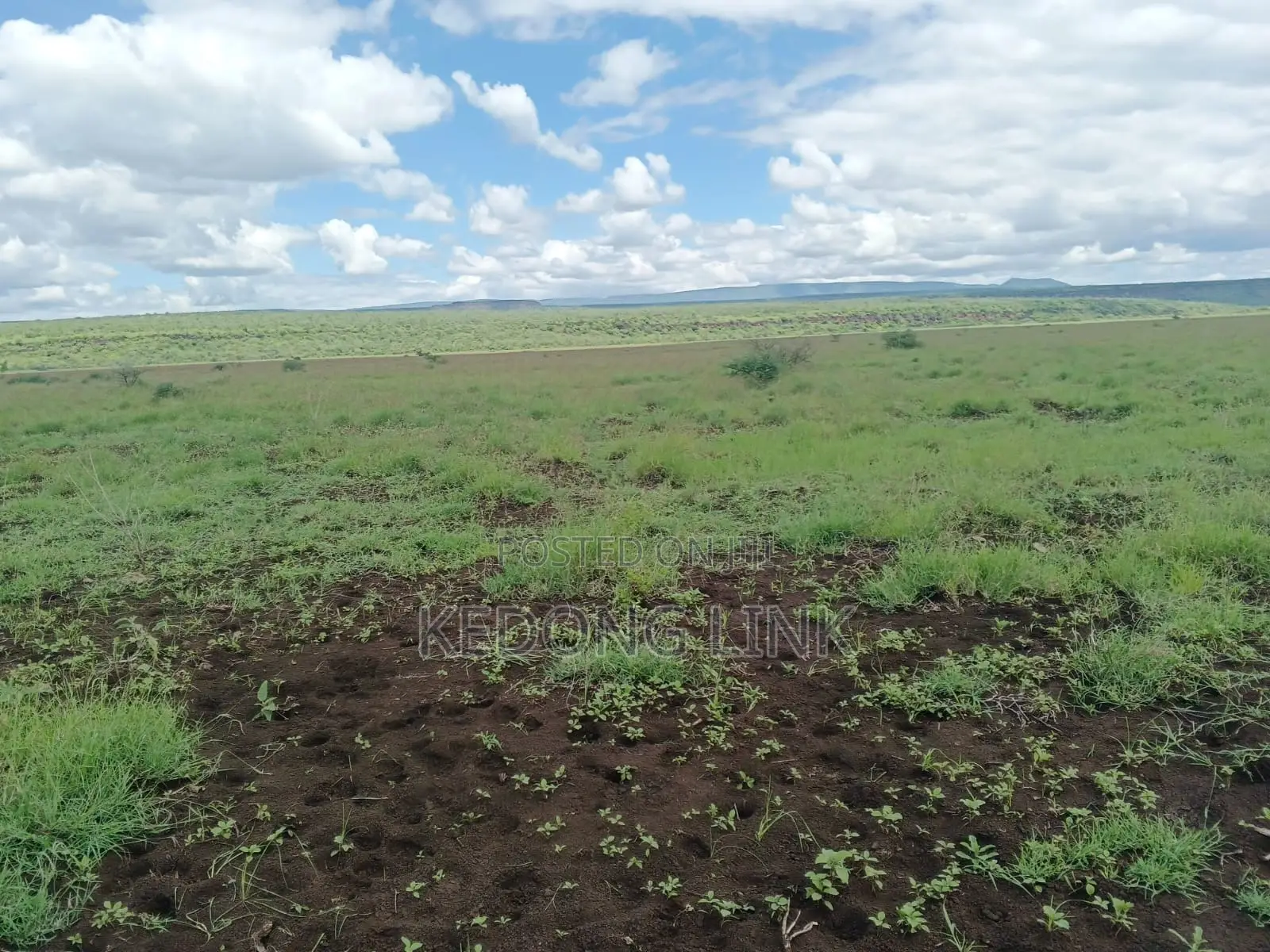 400 Acres Oromet -Tinka Prime Ranch in Magadi