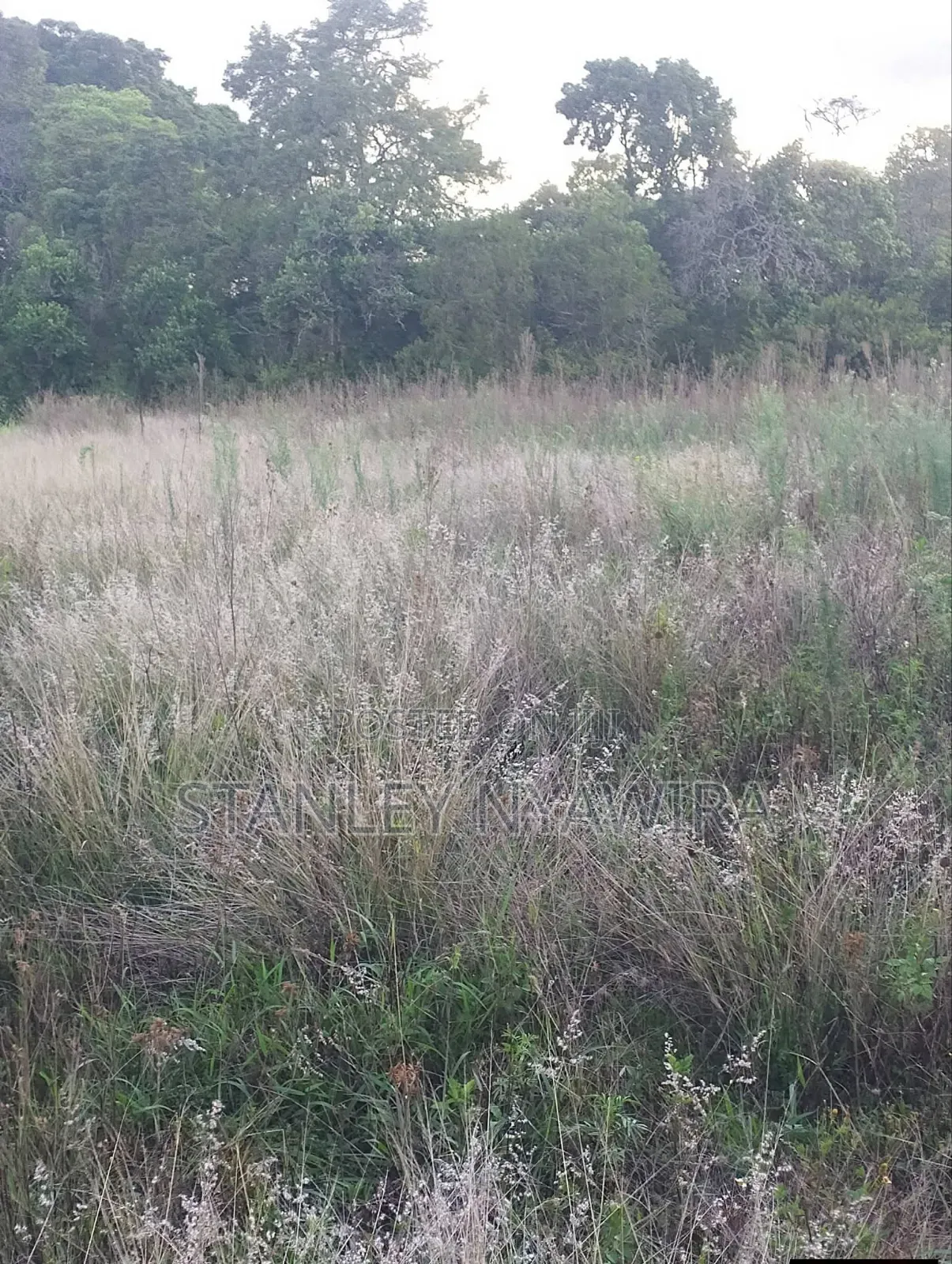 2 Acres Nanyuki Daiga in Nanyuki