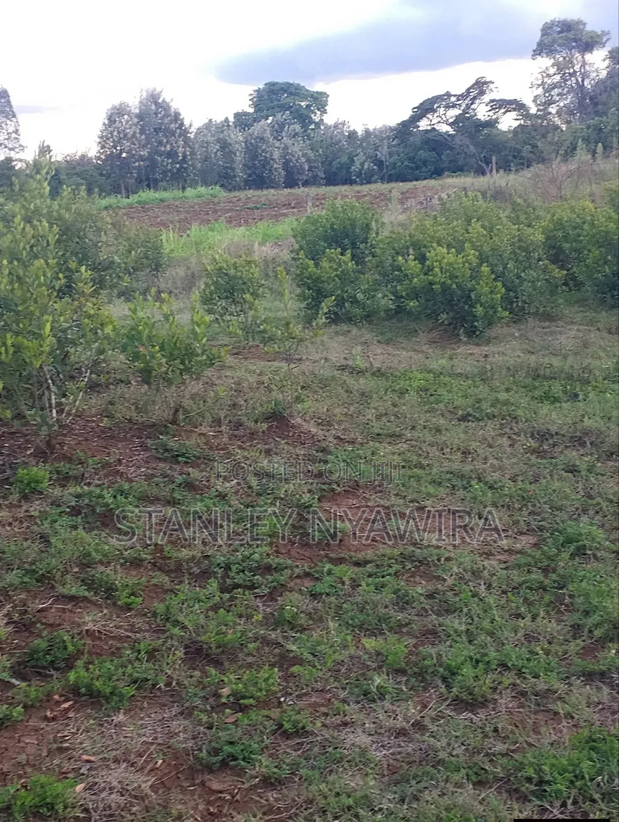 2 Acres Nanyuki Daiga in Nanyuki