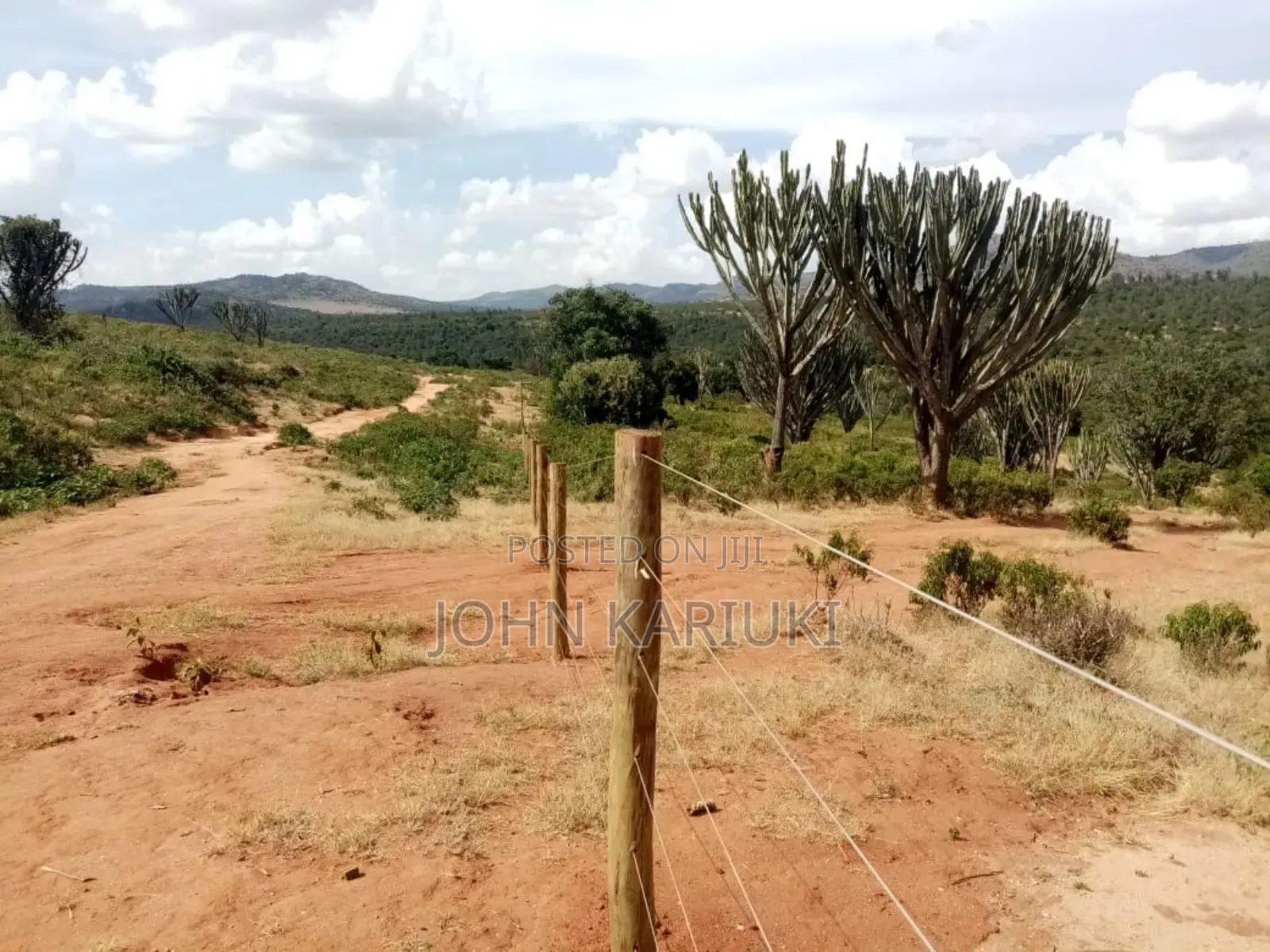 Land on Sale in Nanyuki Nabor 300 Acres With Ready Freehold Title Deed in Nanyuki