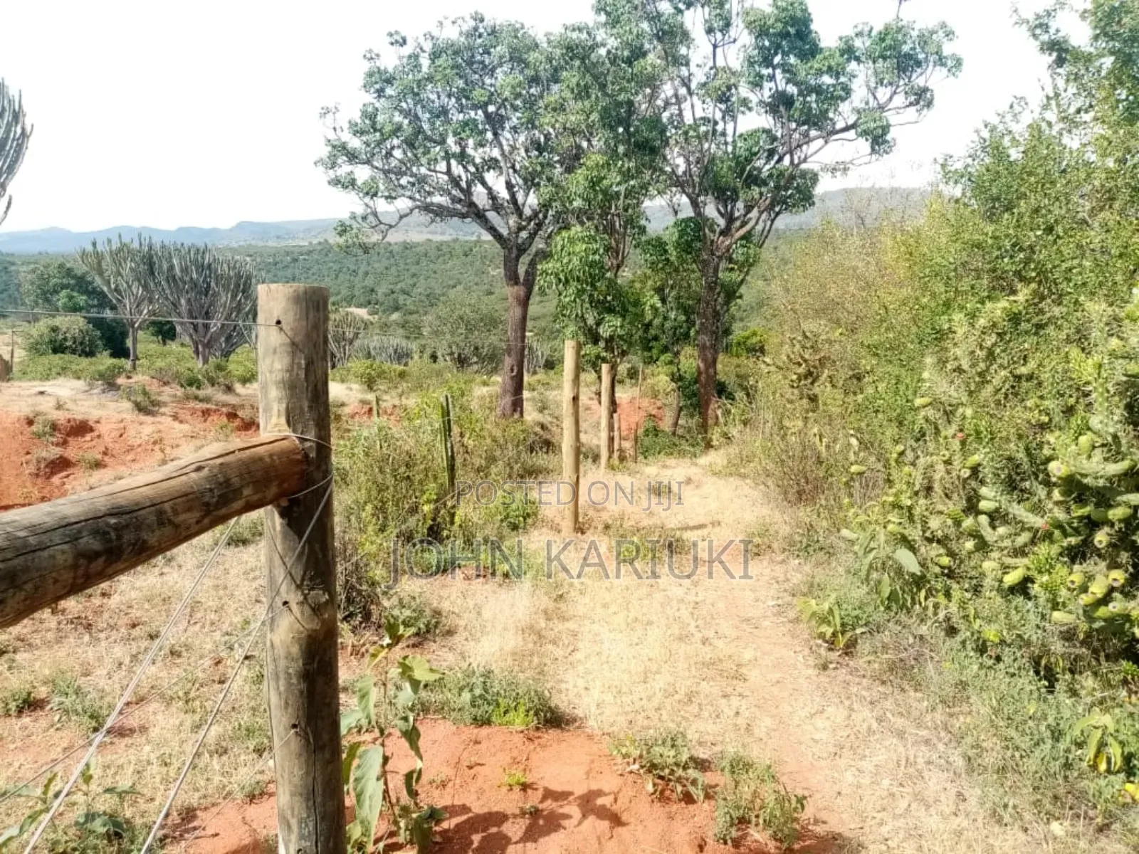 Land on Sale in Nanyuki Nabor 300 Acres With Ready Freehold Title Deed in Nanyuki