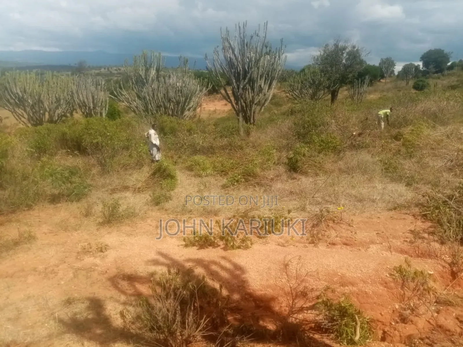 Land on Sale in Nanyuki Nabor 300 Acres With Ready Freehold Title Deed in Nanyuki
