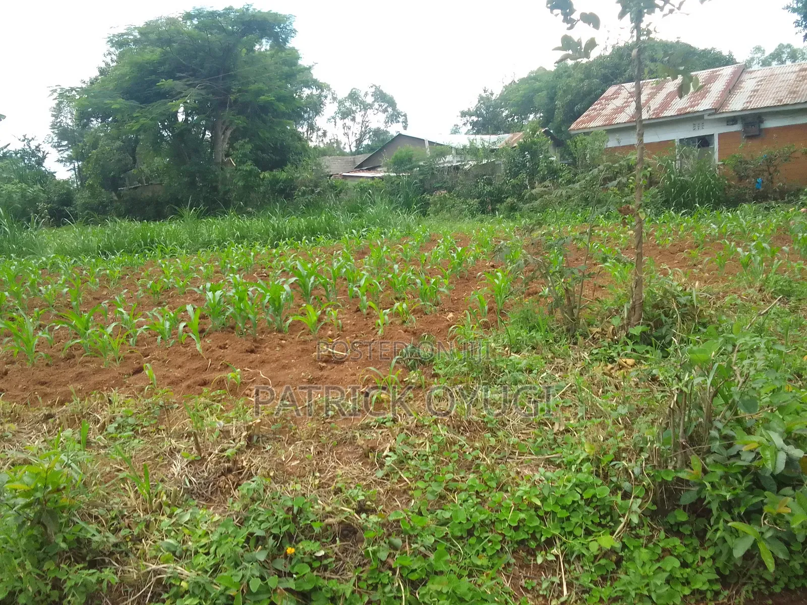 0.1ha at Kisumu Kapuonja Area for Sale in Kapuonja