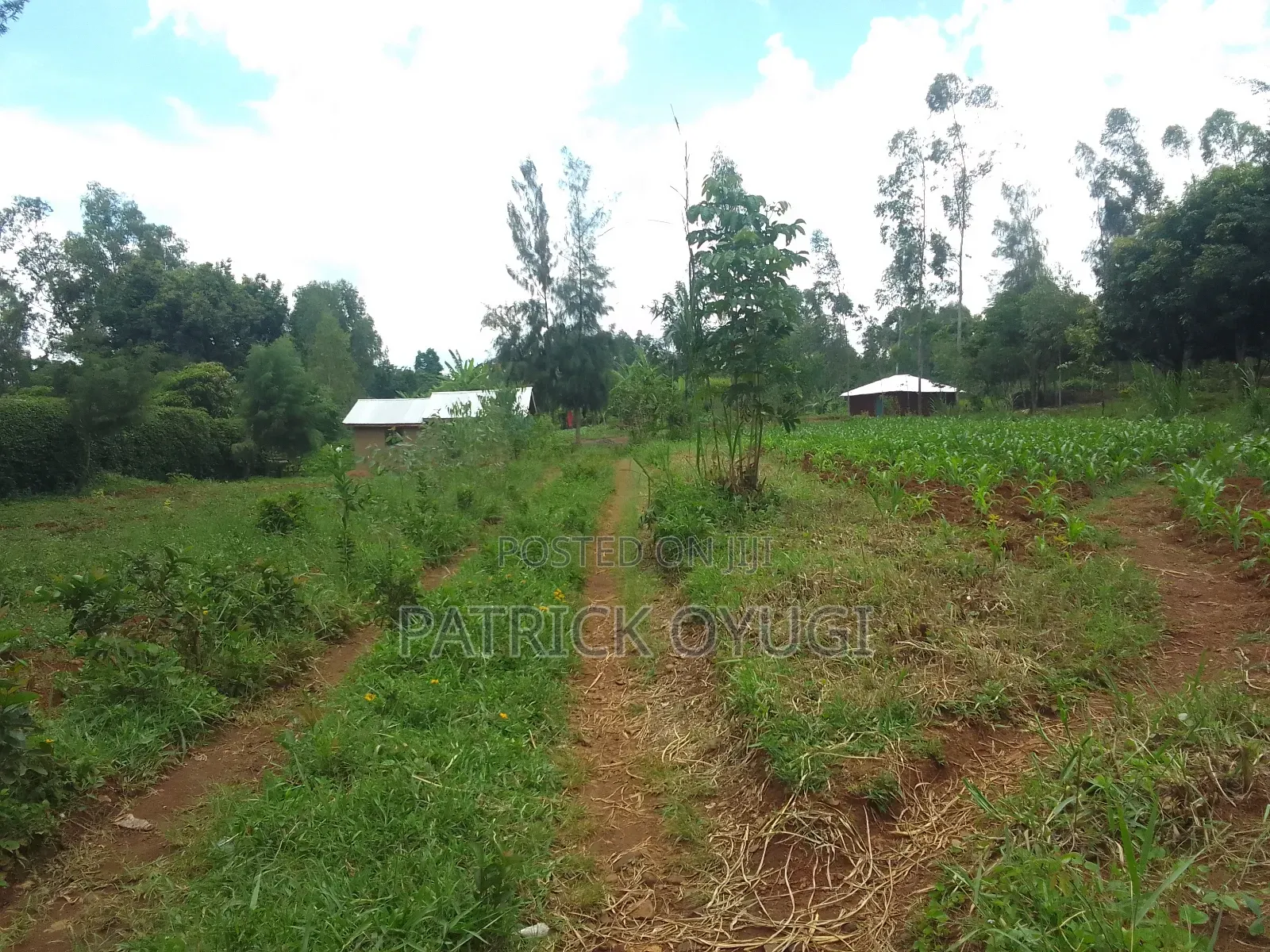 0.1ha at Kisumu Kapuonja Area for Sale in Kapuonja