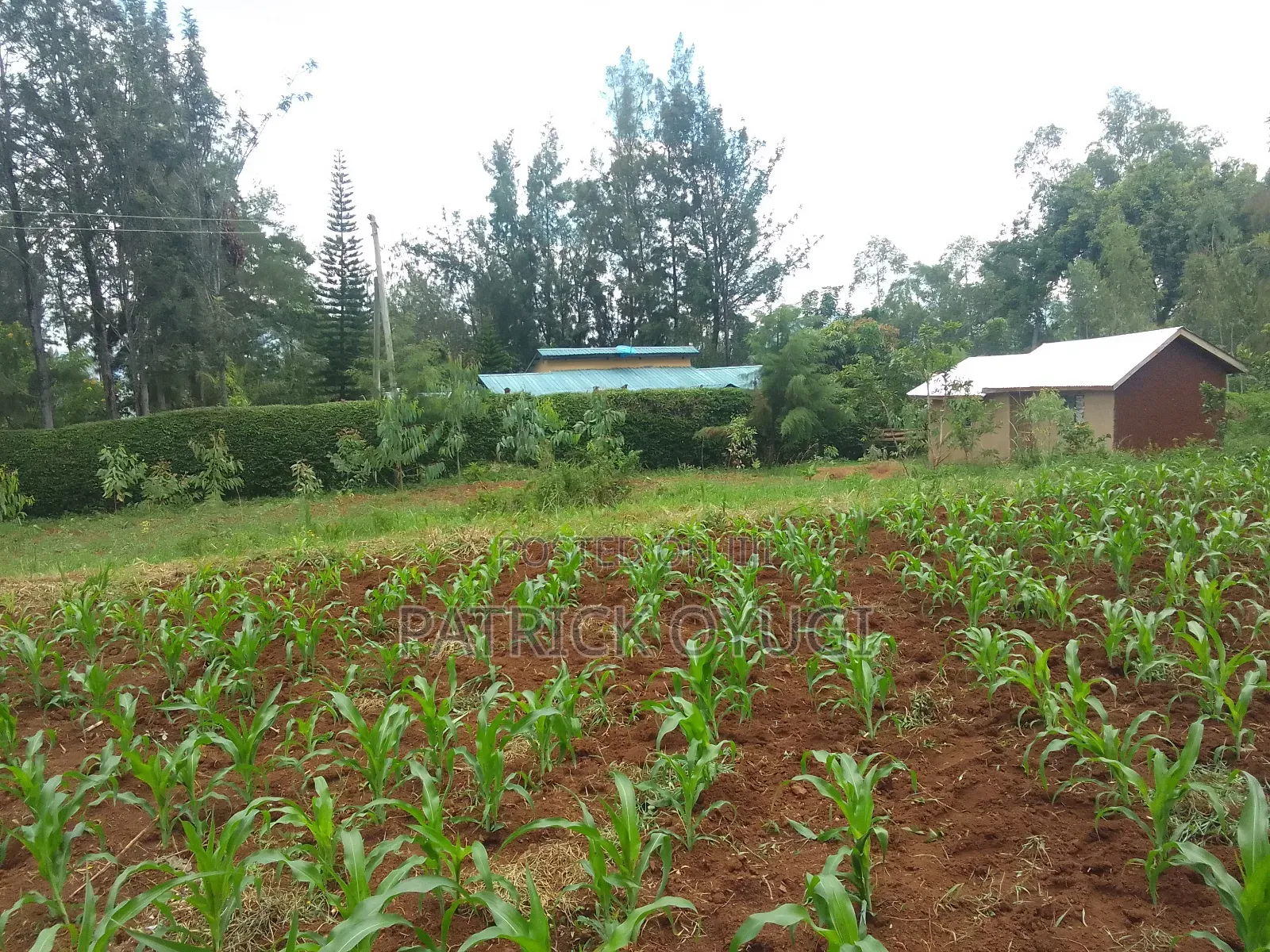 0.1ha at Kisumu Kapuonja Area for Sale in Kapuonja