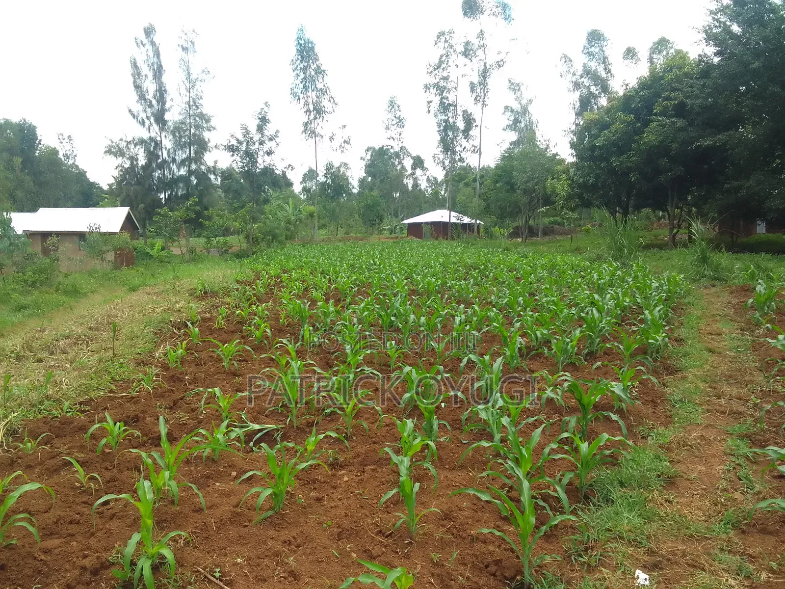 0.1ha at Kisumu Kapuonja Area for Sale in Kapuonja