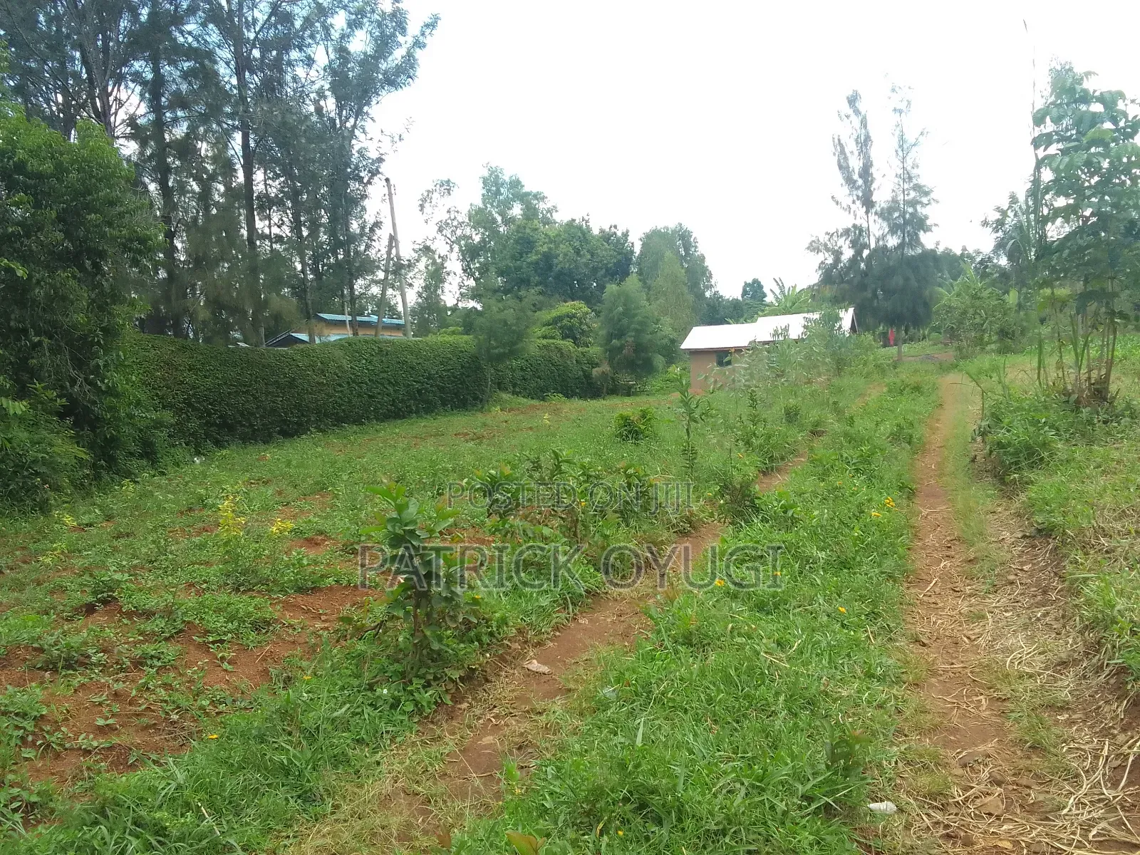 0.1ha at Kisumu Kapuonja Area for Sale in Kapuonja