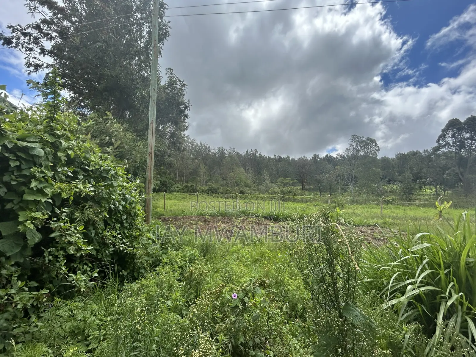 1/2 Acre on Tarmac Mua in Mua Hills