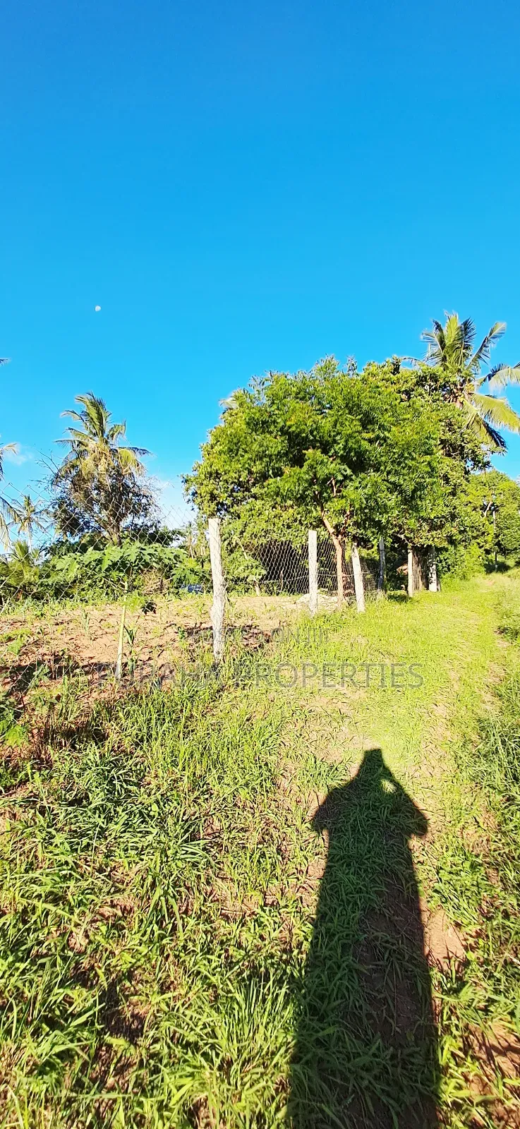 For Sale 1 Acre Prime Land Kwale in Tsimba Golini