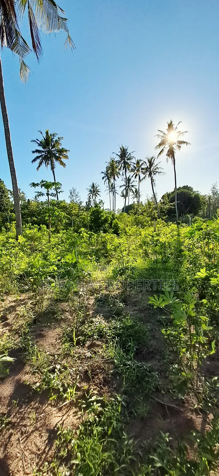 For Sale 1 Acre Prime Land Kwale in Tsimba Golini